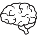 Brain Buddy