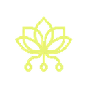 Pollinations
